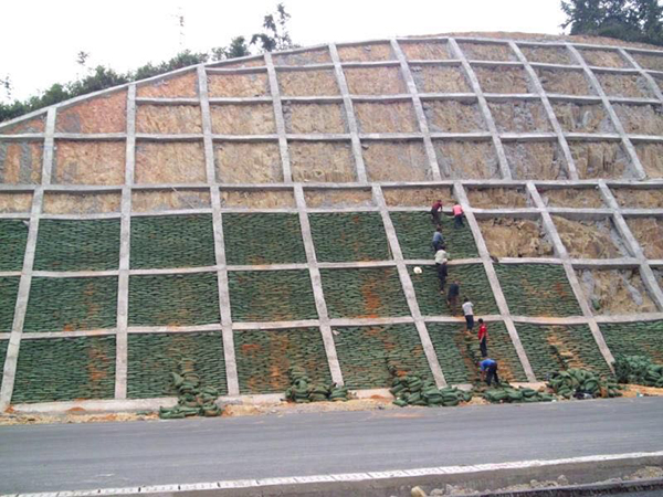 ��������ê�˿����֧����ֲ����Һѹ�粥ֲ��