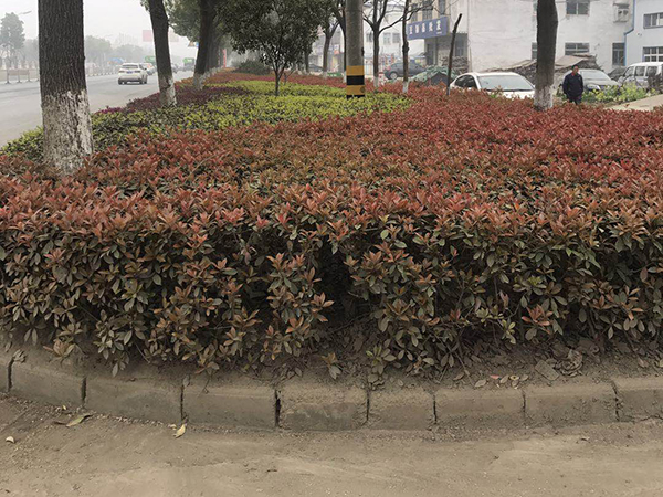 ������316���������̻�����